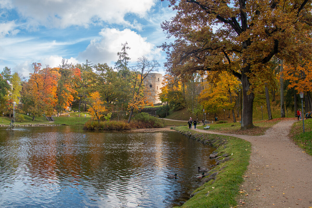 *** - Геннадий Порохов