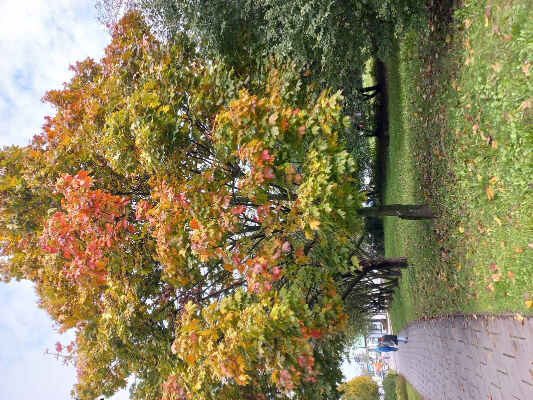 Осенний наряд - Svetlana 