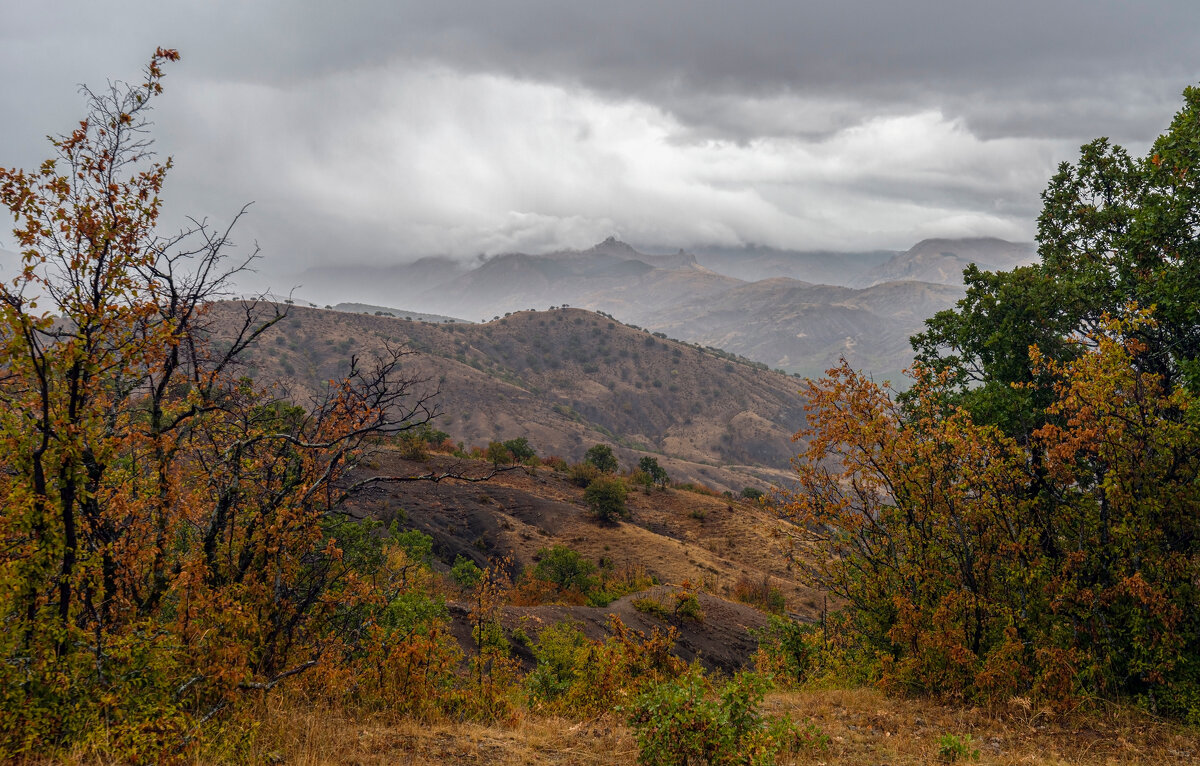 ливень в горах - Виталий Емельянов