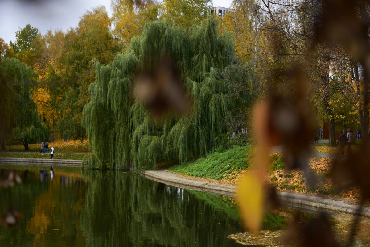 Осень в парке - Мария Яковлева