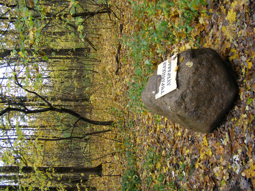 Придорожный камень - Анна Воробьева