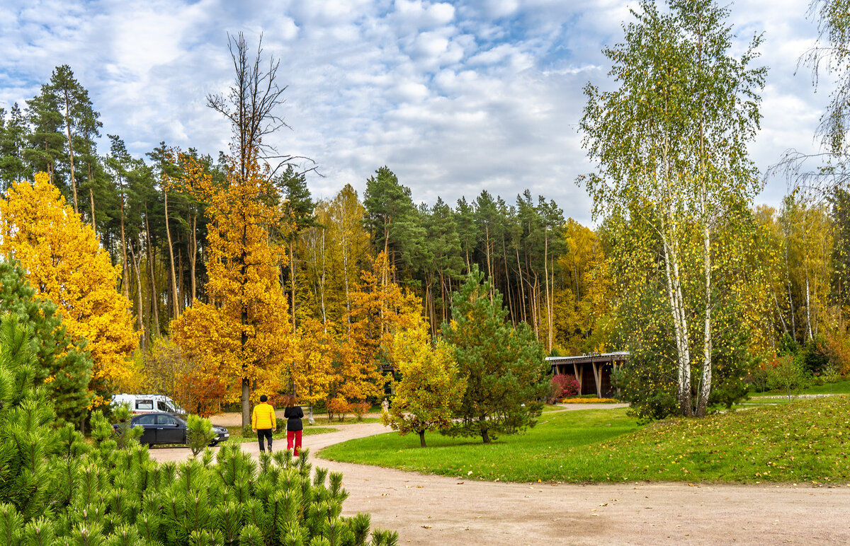 Осень в Мещерском парке - Владимир Езеров 