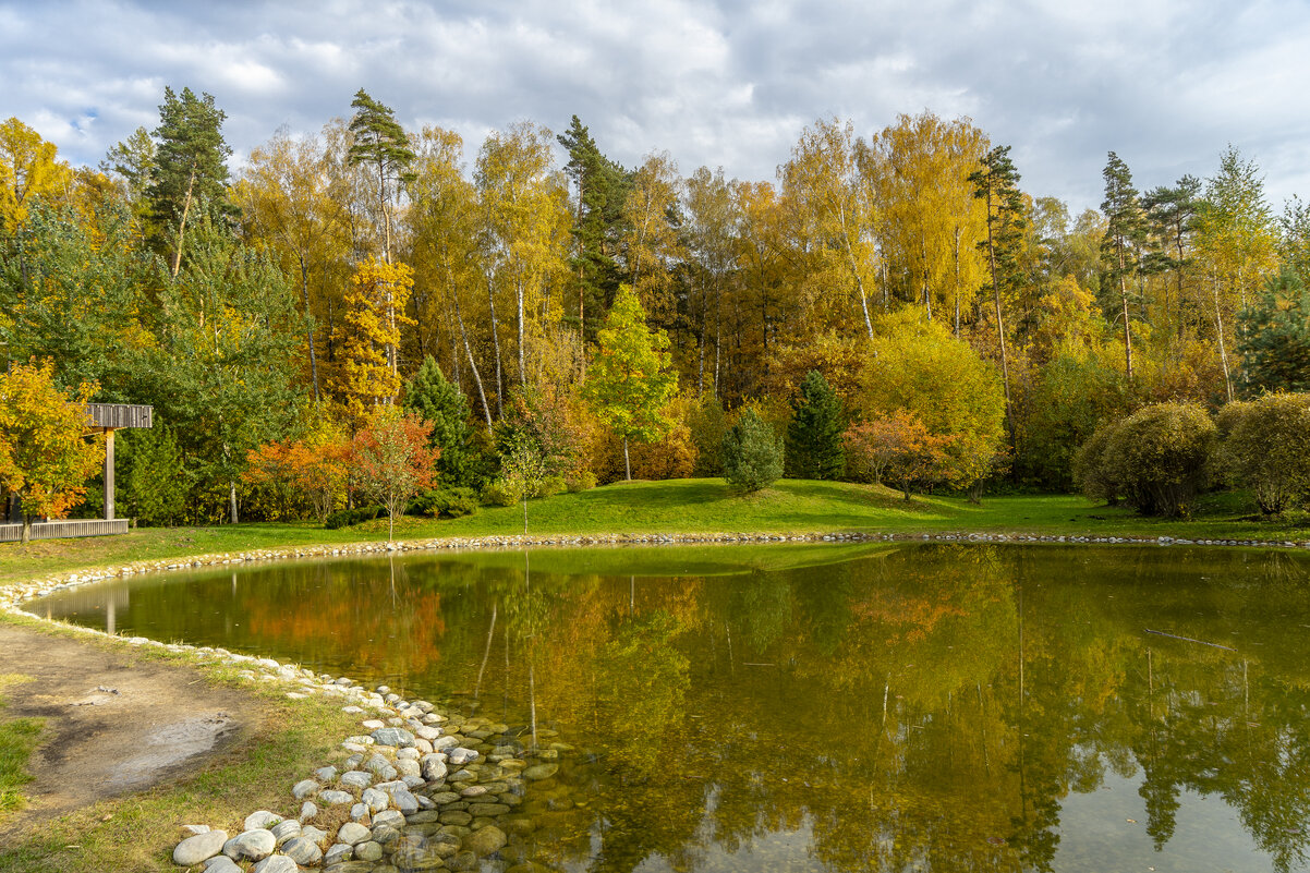 Осень в Мещерском парке - Владимир Езеров Осень в Мещерском парке - Владимир Езеров