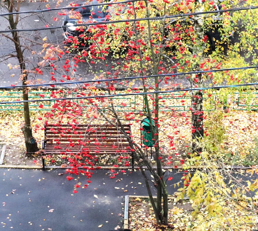 Скамейка. - Василий Палий