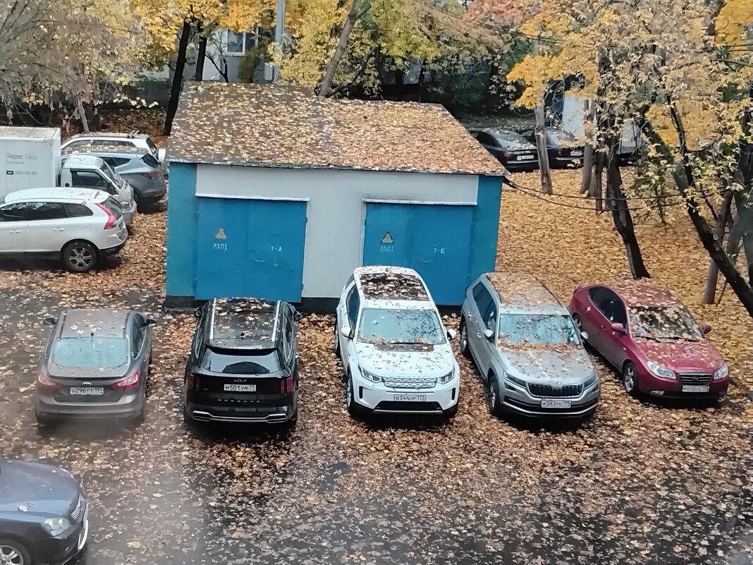 Осеннее утро - Дмитрий Никитин