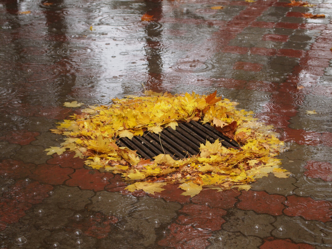 настроение - Всеволод 