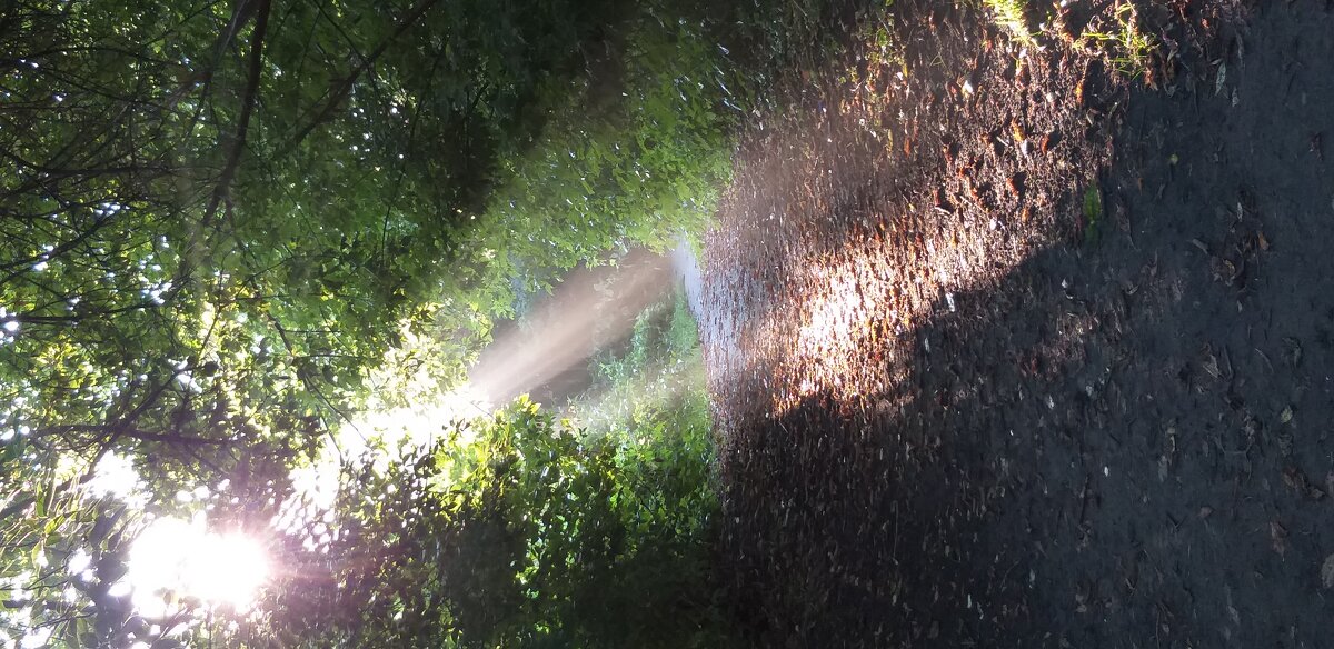 Свет - Наталия 