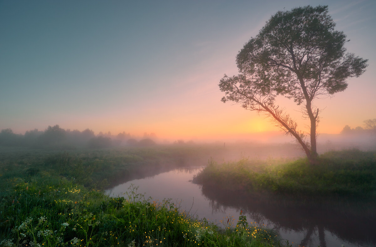 Рассвет в «саванне»... - Roman Lunin