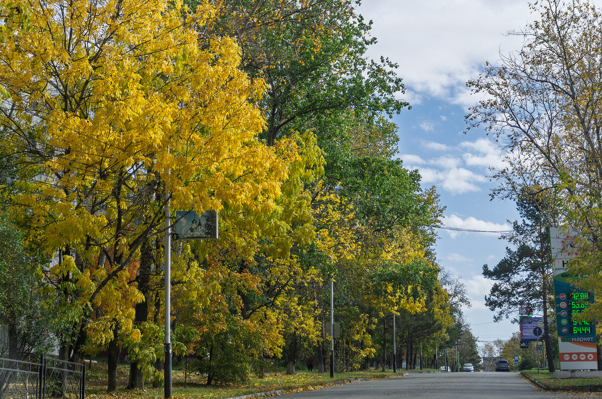 *** - Виктор Иванович Чернюк