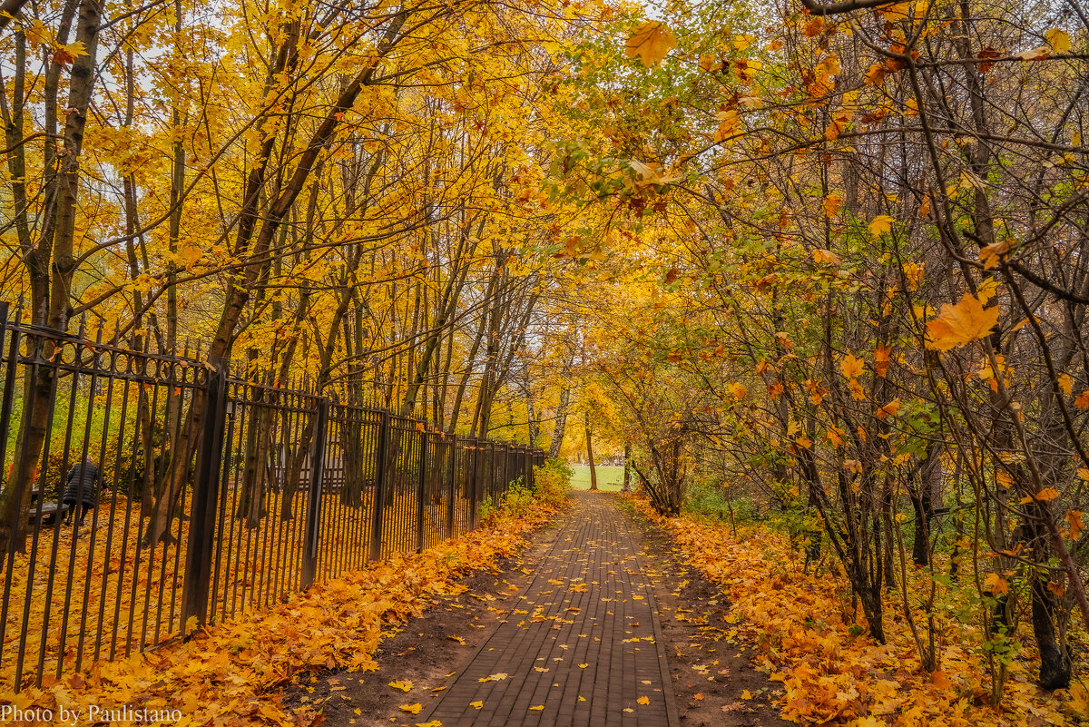 В осеннем парке... - Владимир Жданов В осеннем парке... - Владимир Жданов