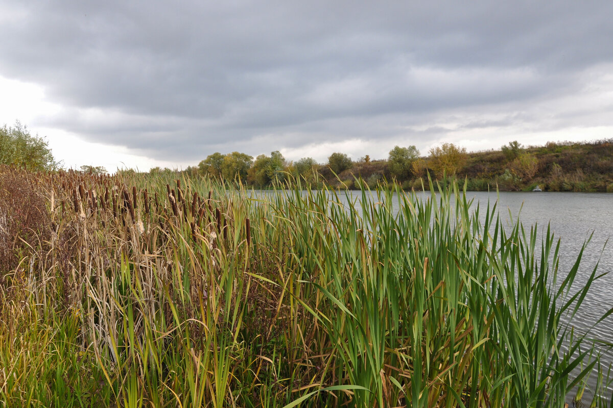 Дон осенью - Татьяна Машошина