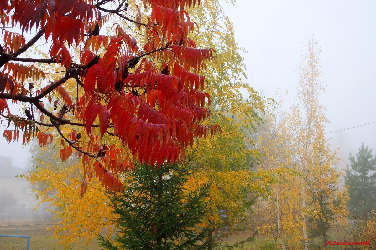 Холодные туманы октября.. - Андрей Заломленков