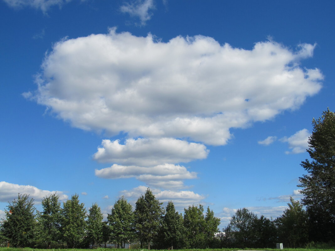 Нижний Тагил - Елена Шаламова Нижний Тагил - Елена Шаламова