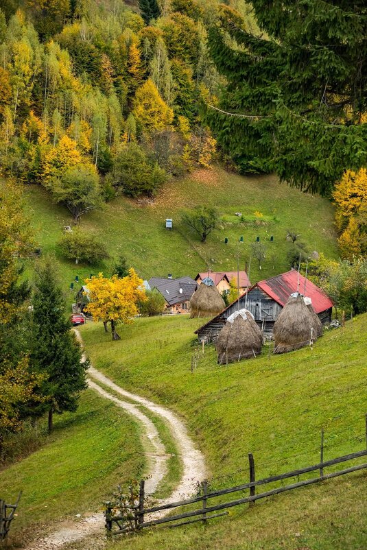 ранкове - Степан Карачко