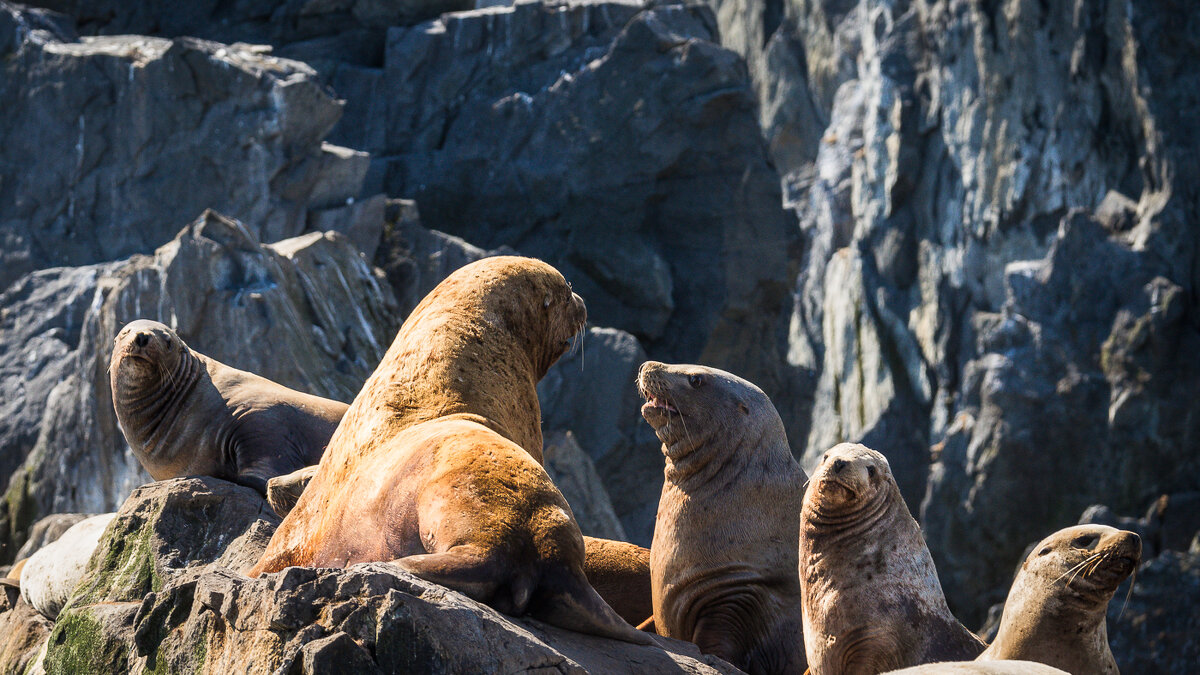 ... - Жора Житников ... - Жора Житников