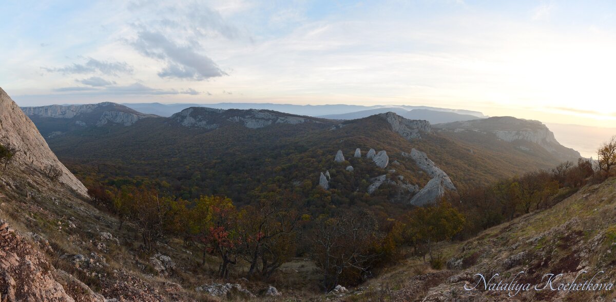 Природа Крыма - Amazing Cosmea
