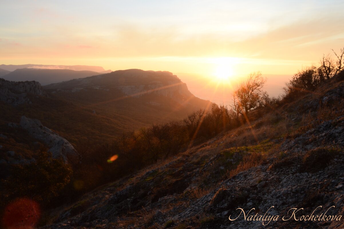 Природа Крыма - Amazing Cosmea