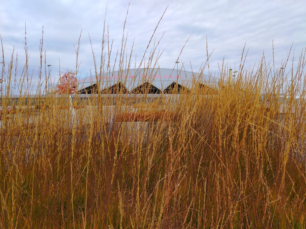 НЛО в Самаре - Надежда НЛО в Самаре - Надежда