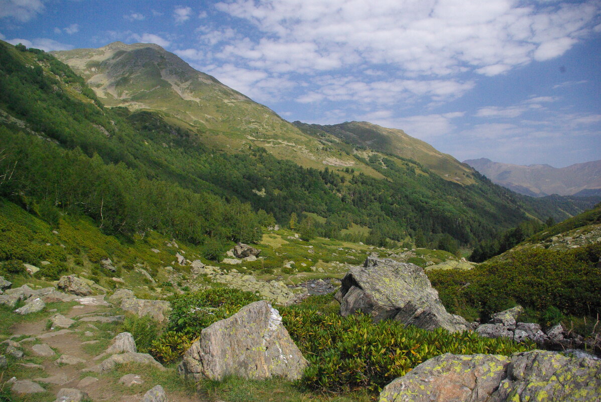 Ущелье ... - Андрей Любимов Ущелье ... - Андрей Любимов