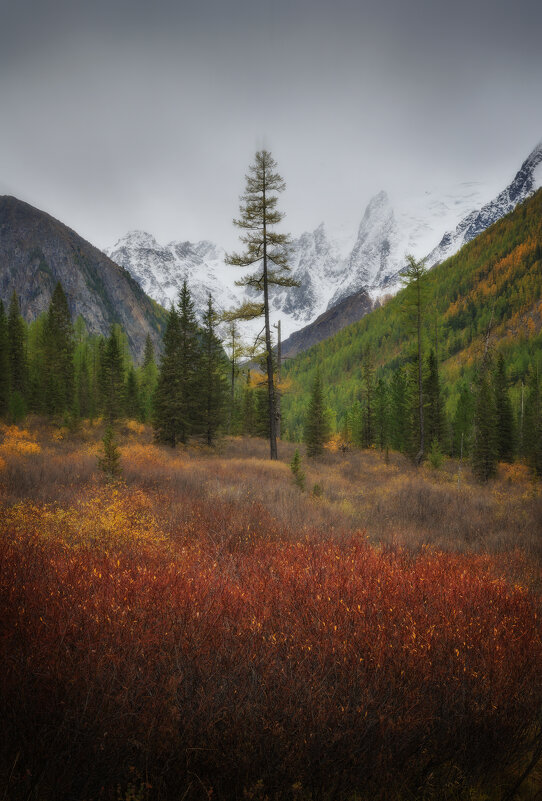 * - Александр Иванов