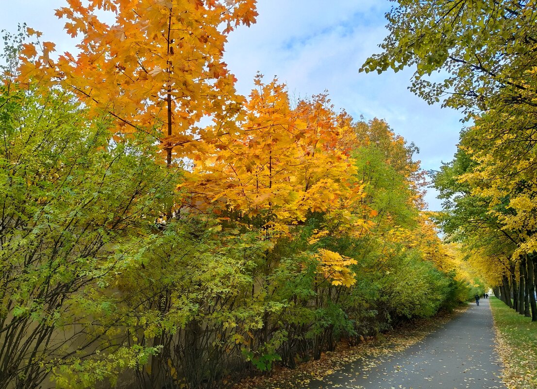 Осенняя пора... очей очарованье... - Мария Васильева Осенняя пора... очей очарованье... - Мария Васильева