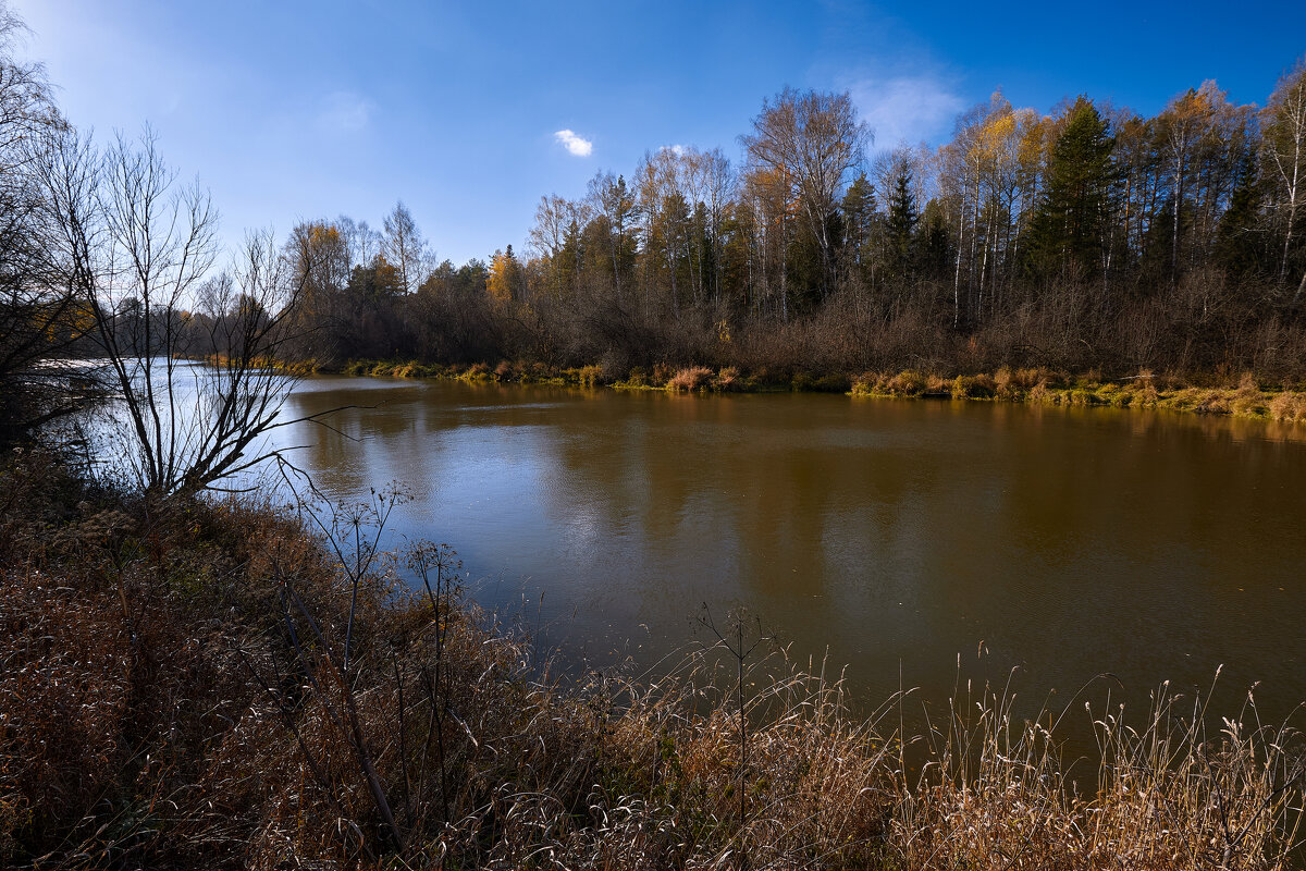 Октябрьский полдень у реки. - Юрий кот