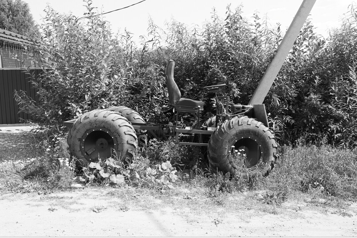 Фотография - Денис Безногов