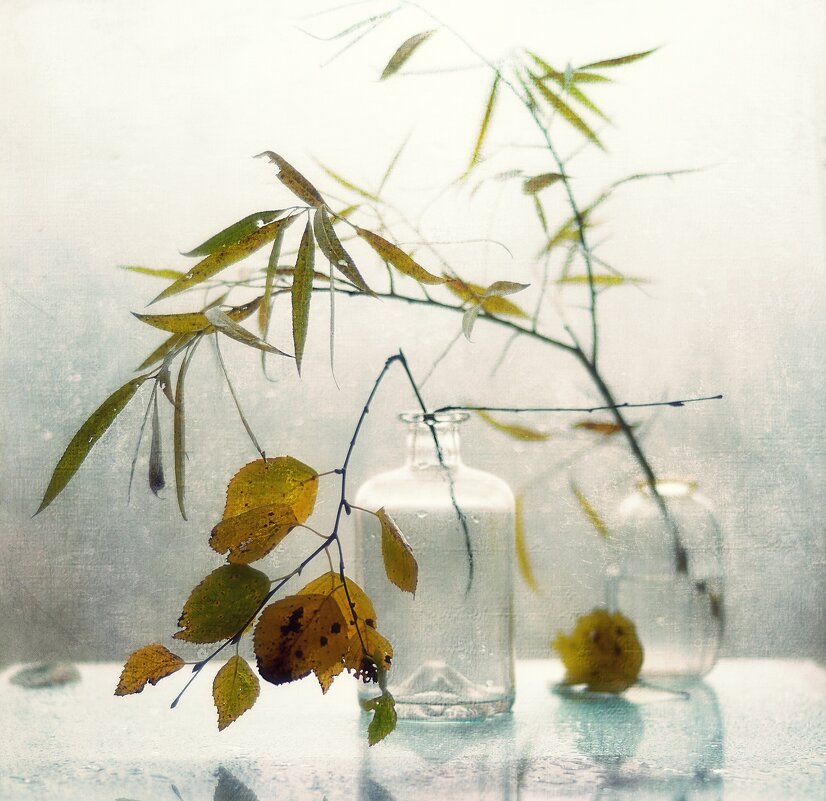 осенний этюд... - Natali-C C