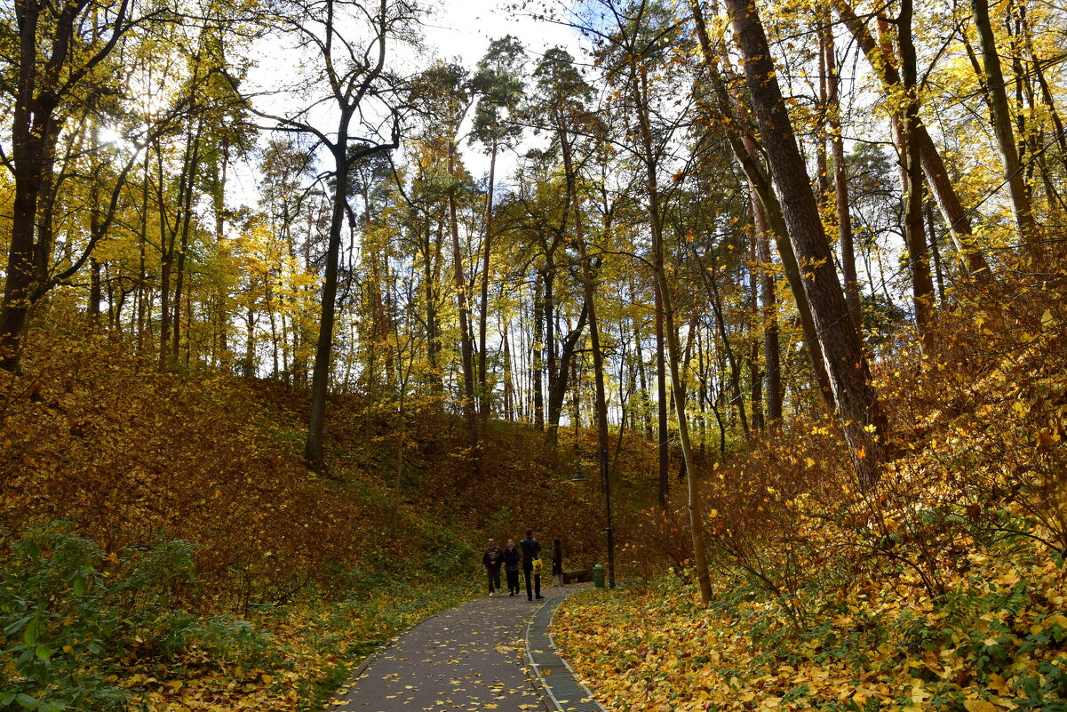 Усадьба. Осень. - tatiana 