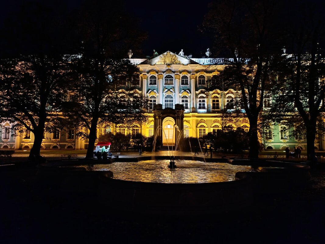 Зимний дворец ночью. - Ирина ***