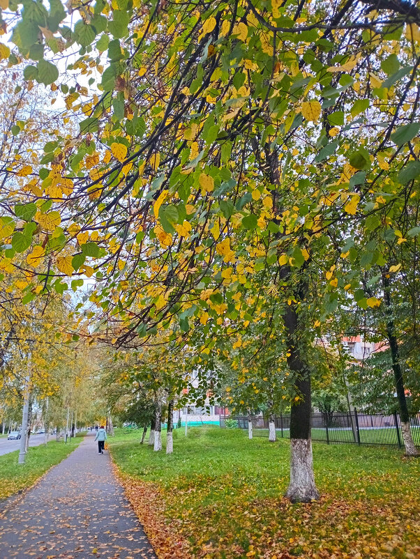 Середина осени - Татьяна Львова