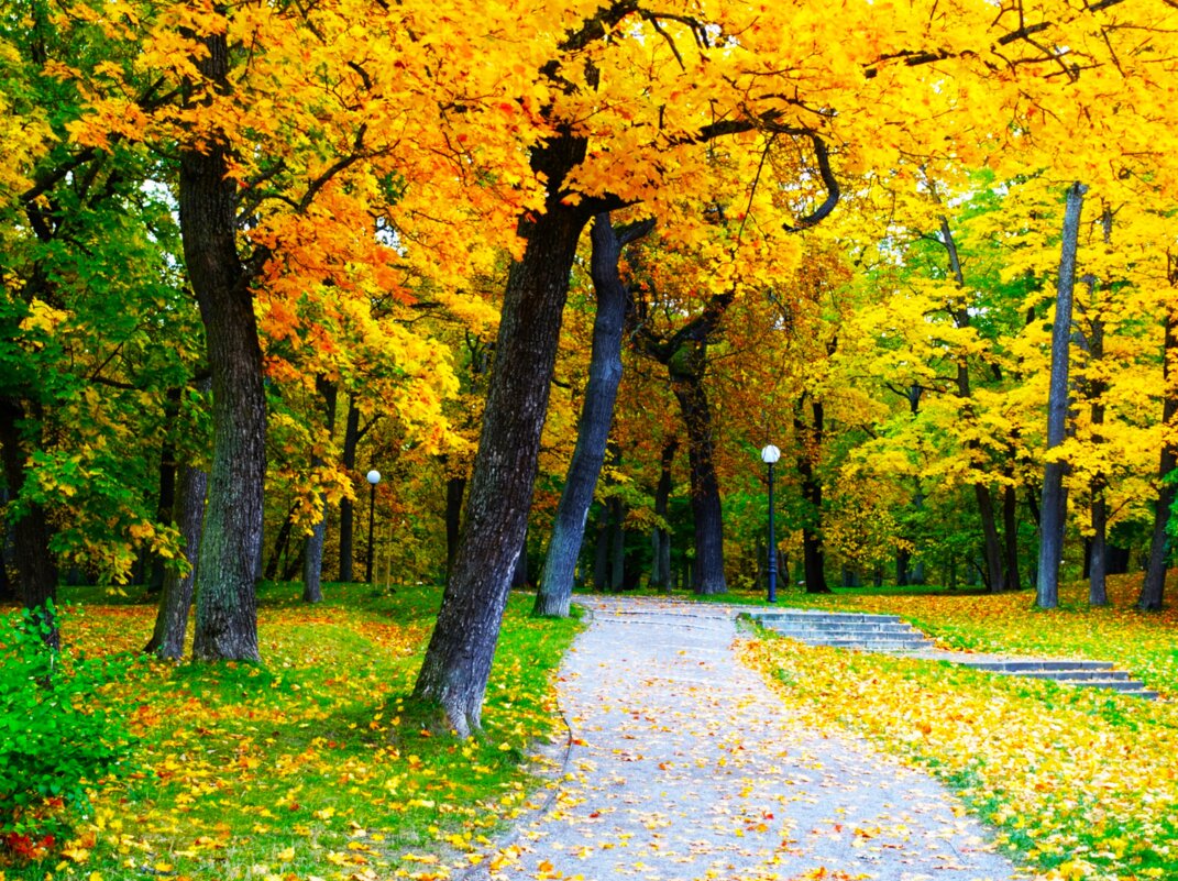 Дорожками парка - Aida10 