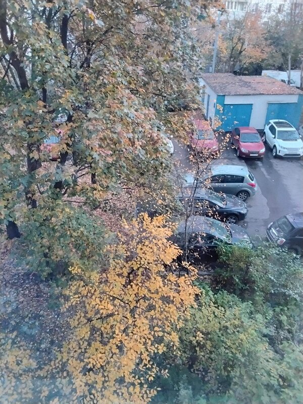 Осеннее утро - Дмитрий Никитин