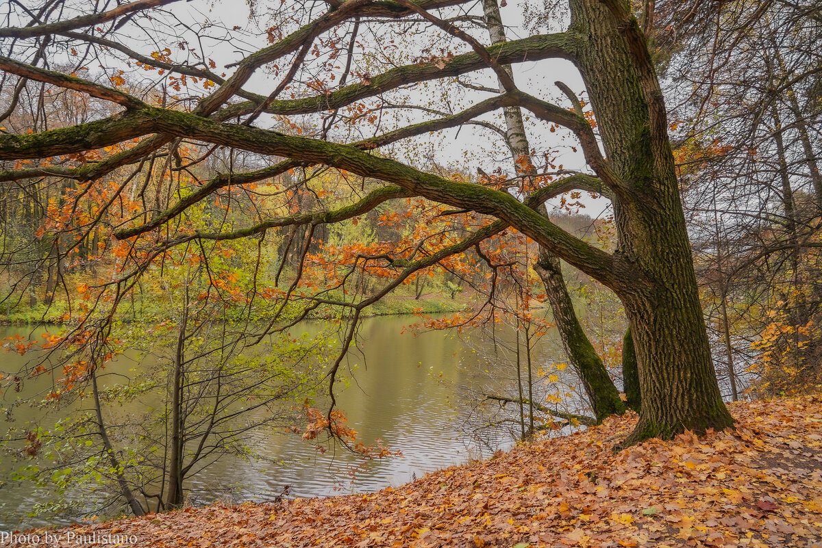 Октябрь в Царицыно... - Владимир Жданов