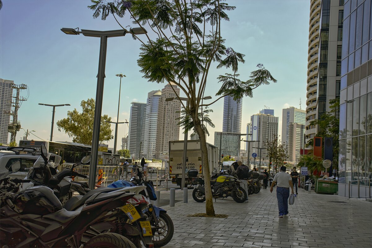 Тель Авив*,2025г - ujgcvbif 