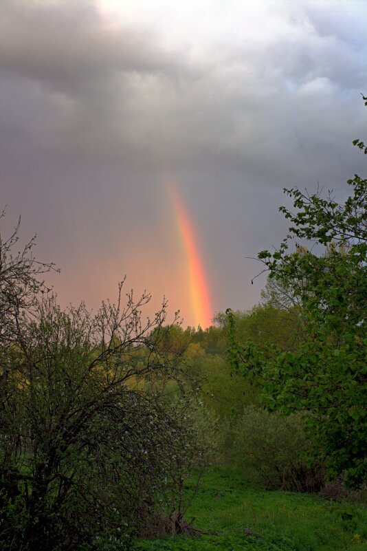 Радуга в Староселке - Артем 