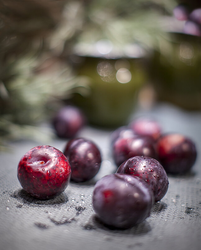 Слива - Bosanat 