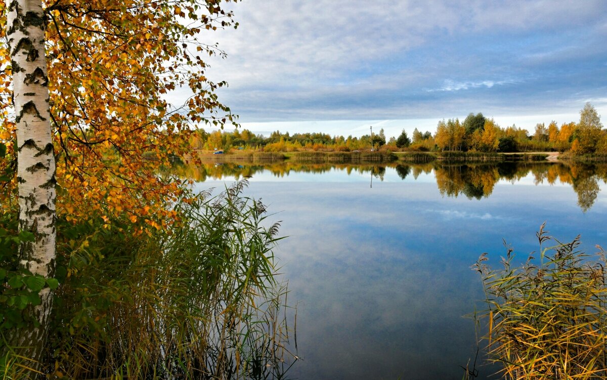 Золотая осень Смоленщины. - Милешкин Владимир Алексеевич Золотая осень Смоленщины. - Милешкин Владимир Алексеевич