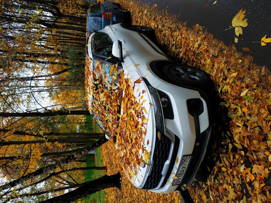 И поход в п-ку на перевязку на что-нибудь годится - Андрей Лукьянов