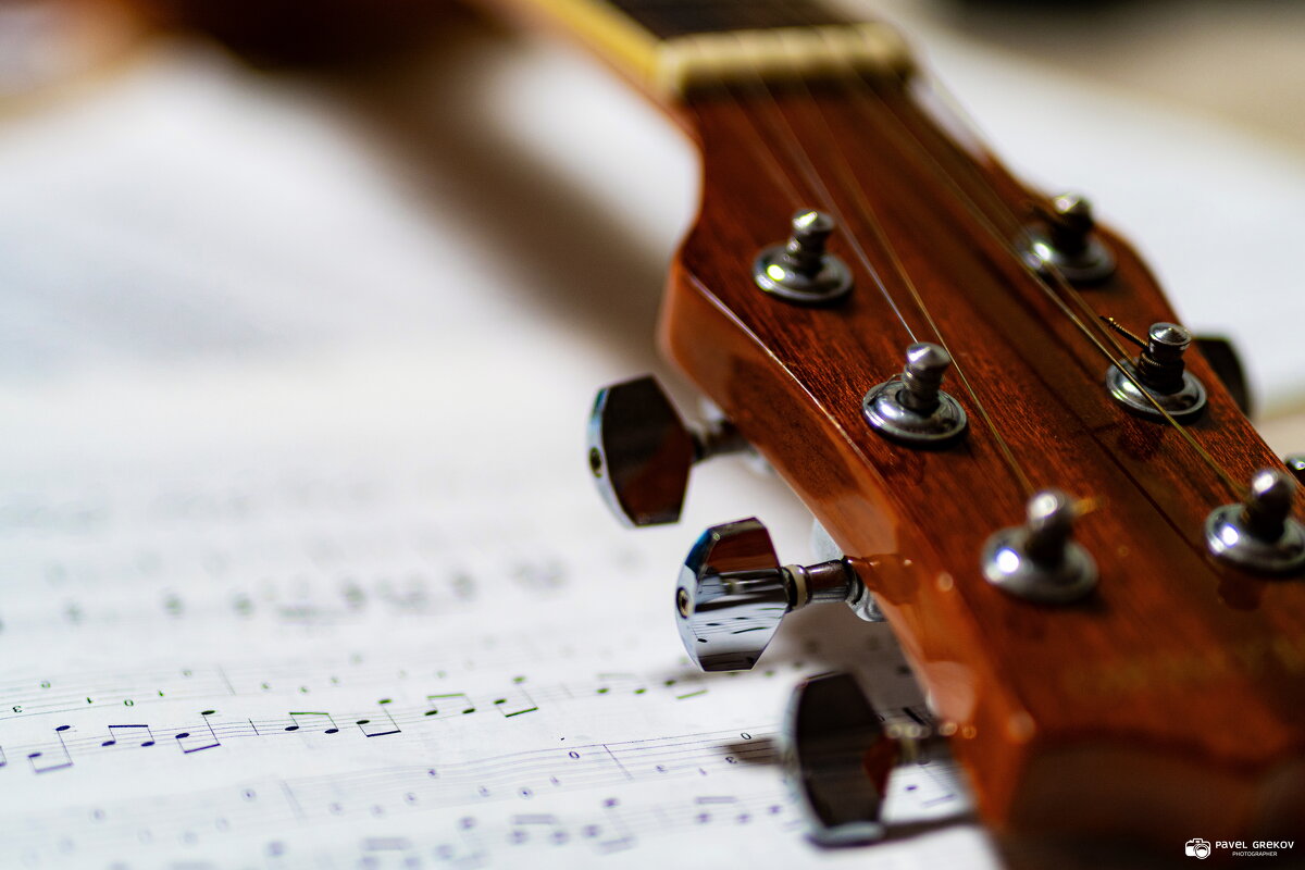 Гитарное настроение - Павел Греков