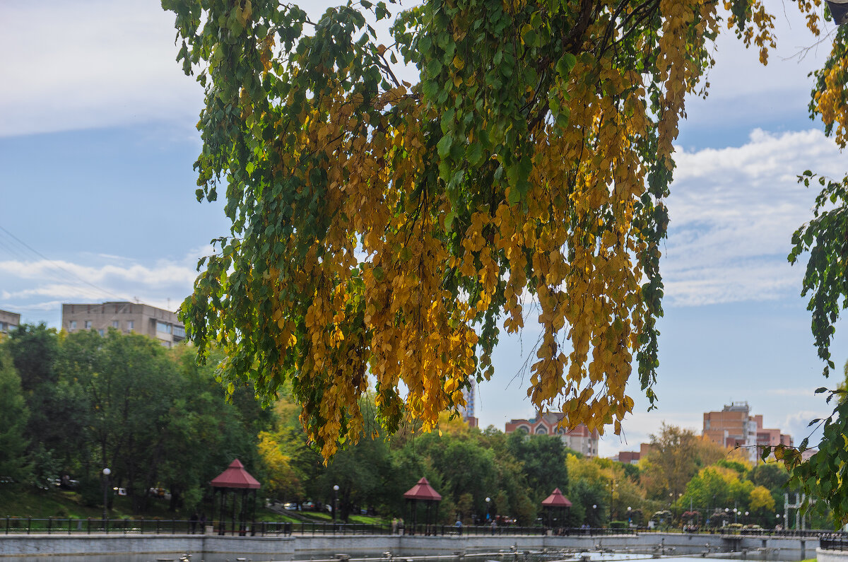 *** - Виктор Иванович Чернюк