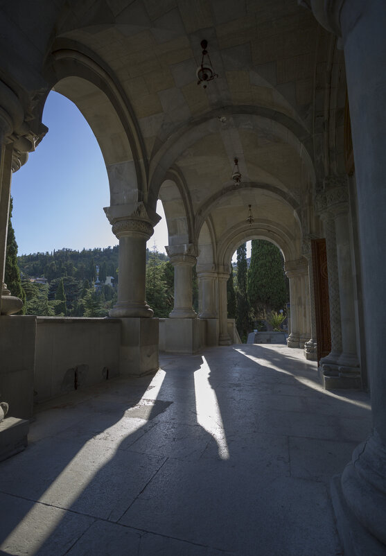 *** - Елена Агеева