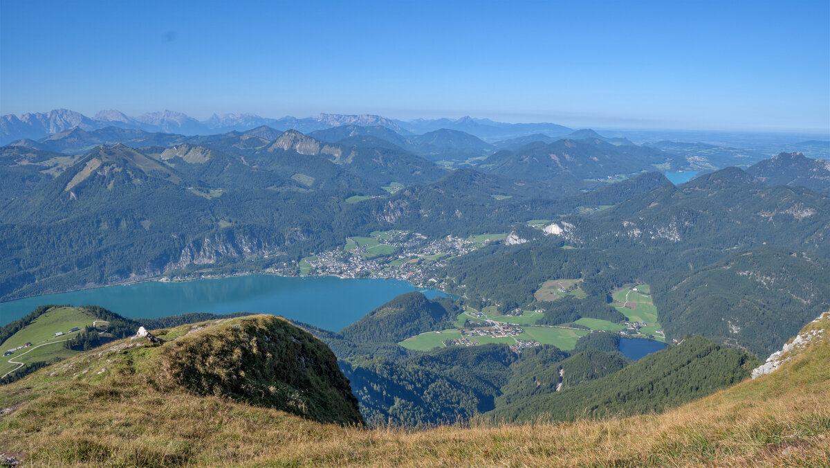 -- - vladimir -- - vladimir