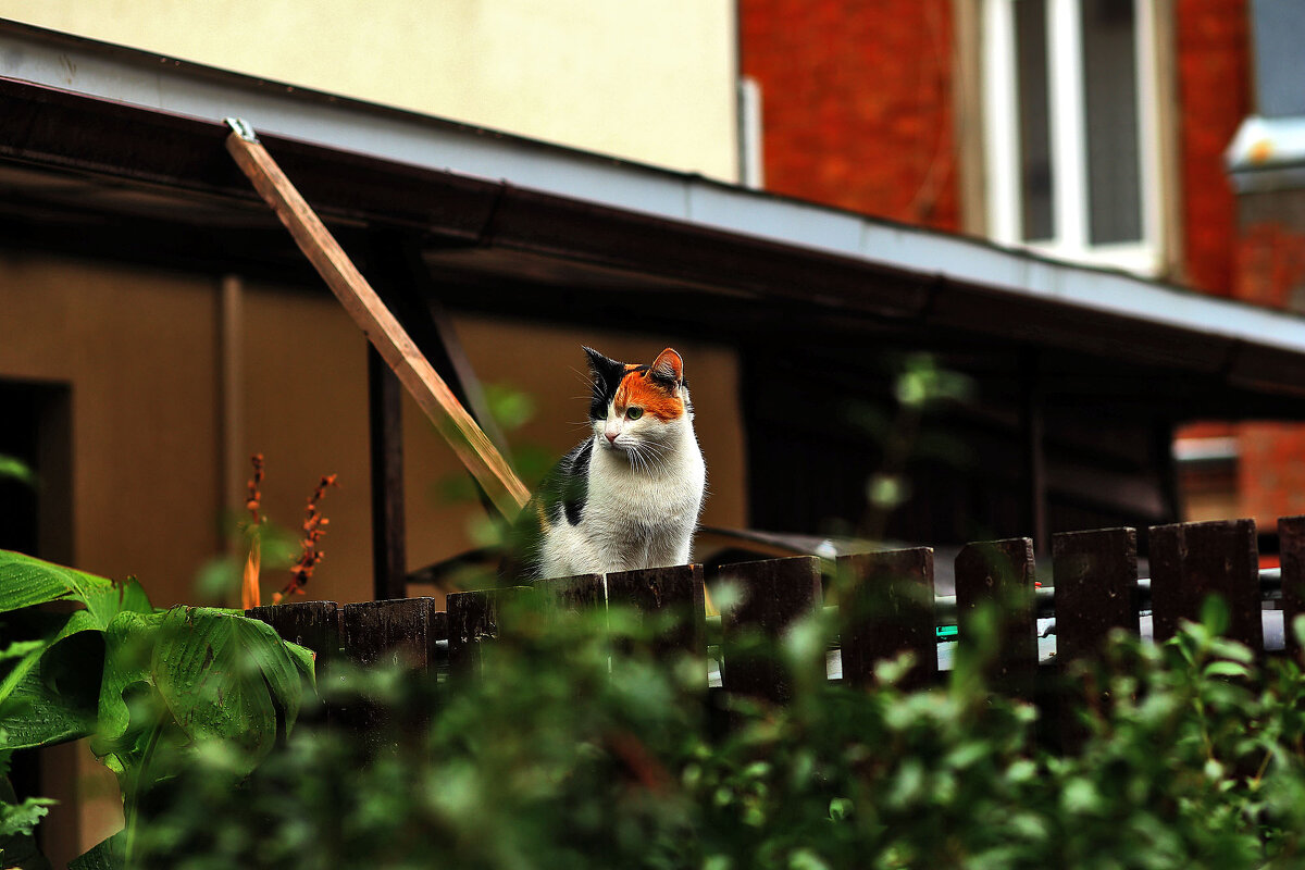 Изучает... - Юрий Гайворонскiий Изучает... - Юрий Гайворонскiий