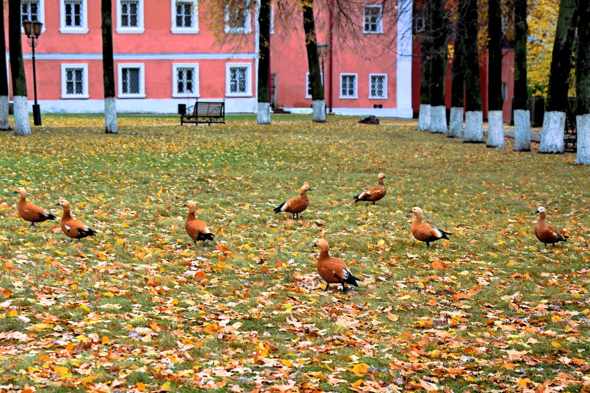Пока дождя нет. - Татьяна Помогалова