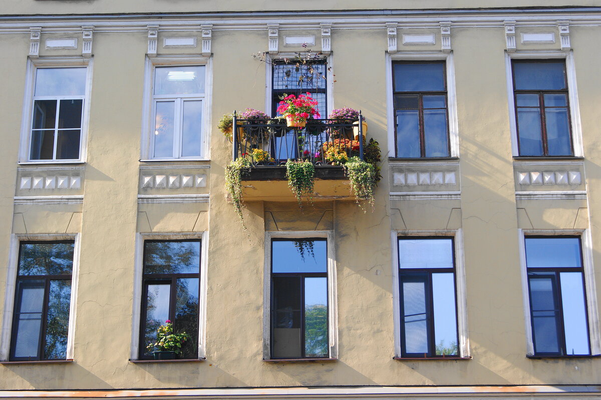 /// - Виктор Никитенко