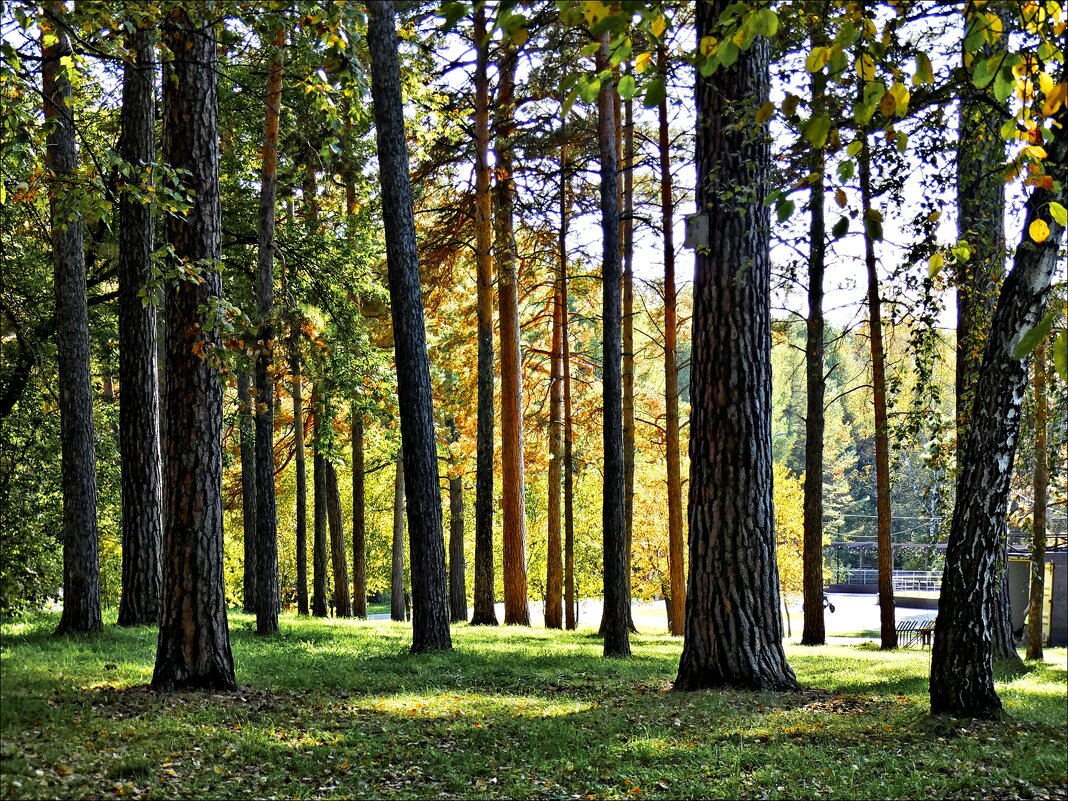 Осенний день - Валентина * Осенний день - Валентина *