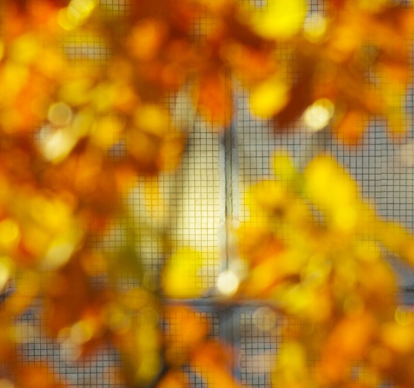 "Сложный зайчик" :) - Юрий Куликов "Сложный зайчик" :) - Юрий Куликов