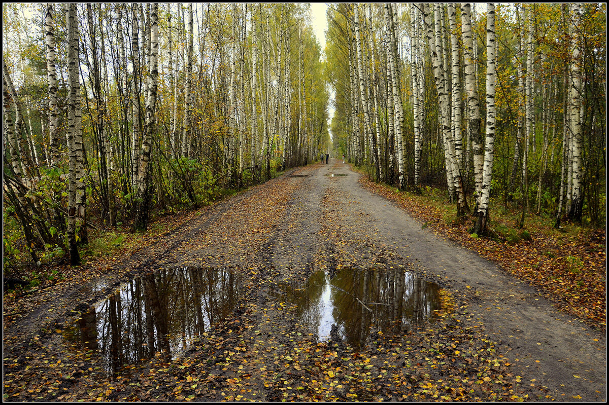 После дождя - Aleksandr Gal После дождя - Aleksandr Gal