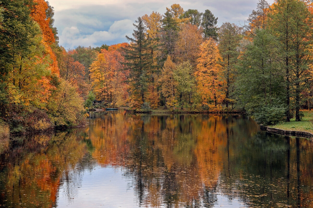 Елагин остров - skijumper Иванов Елагин остров - skijumper Иванов